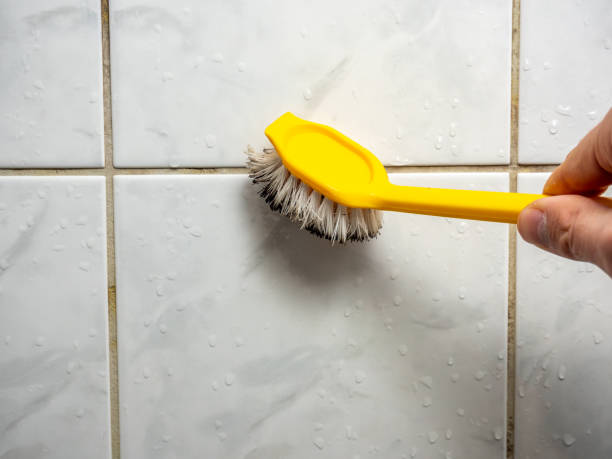 Best Residential Mold Removal  in San Diego, CA
