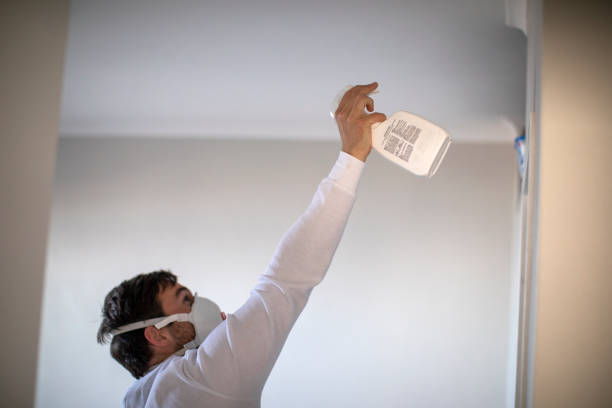 Best Emergency Mold Removal  in San Diego, CA
