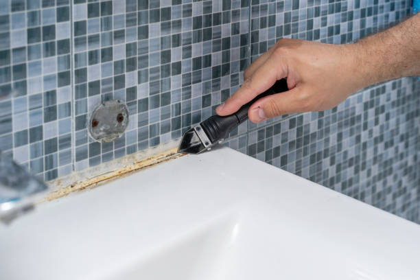 Best Same-Day Mold Removal  in San Diego, CA