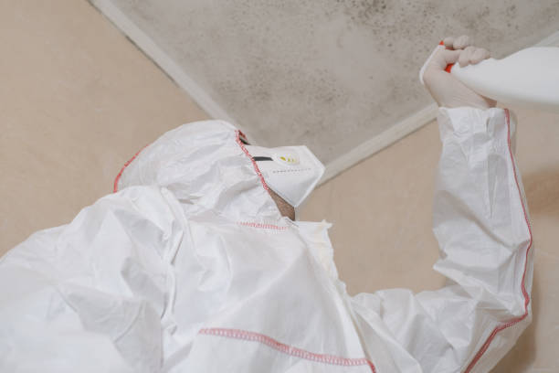 Best Crawl Space Mold Removal  in San Diego, CA